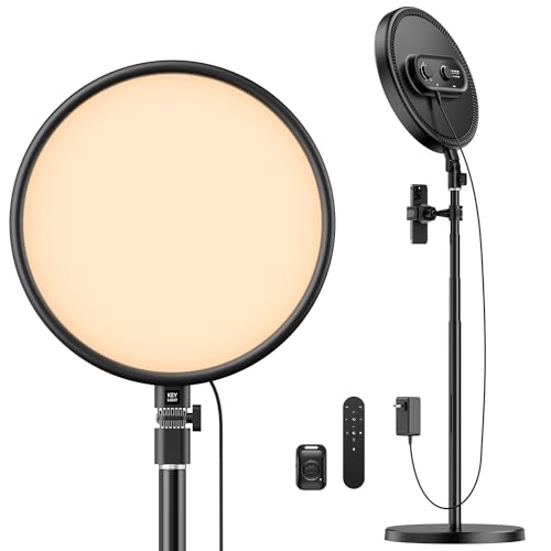 Large Ring Light Kit, Weilisi 6500K Professional Full-Screen Big Ring Light with Stand and Phone Holder, 64" Tall Ring Light with Remote for Studio Video Photography, TikTok, YouTube, Live Stream