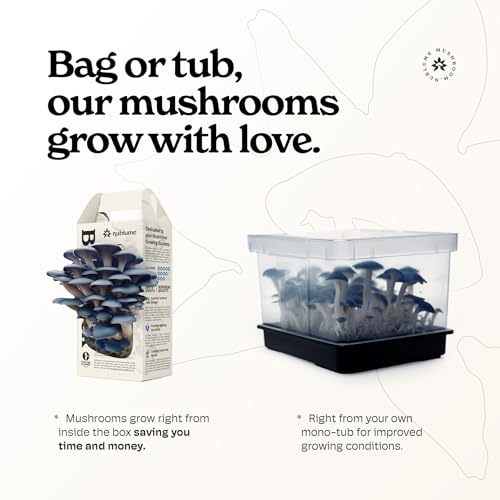 Organic Blue Oyster Mushroom Grow Kit | Grow Your Own Fresh Gourmet Mushrooms at Home | Edible Indoor Mushroom Growing Kits Great Gift for Kids & Adults