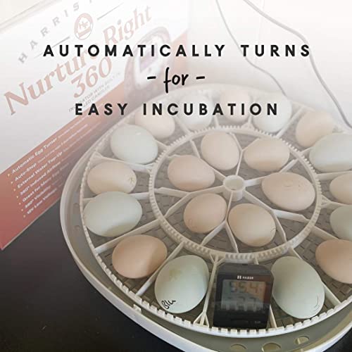 Manna Pro Harris Farms Nurture Right Egg Incubator for Hatching Chicks - Holds 22 Eggs - Automatic Egg Turner with Temperature and Humidity Control - 360 Degree View With Clear Window