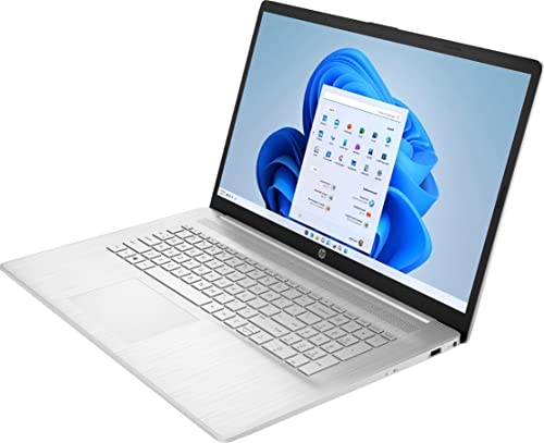 HP 17.3" Flagship HD+ Business Laptop, 16GB DDR4 RAM, 1TB PCIe SSD, Intel Quad Core i3-1125G4(Beat i5-1035G4), Bluetooth, HDMI, Webcam, Windows 11, Silver, w/GM Accessories