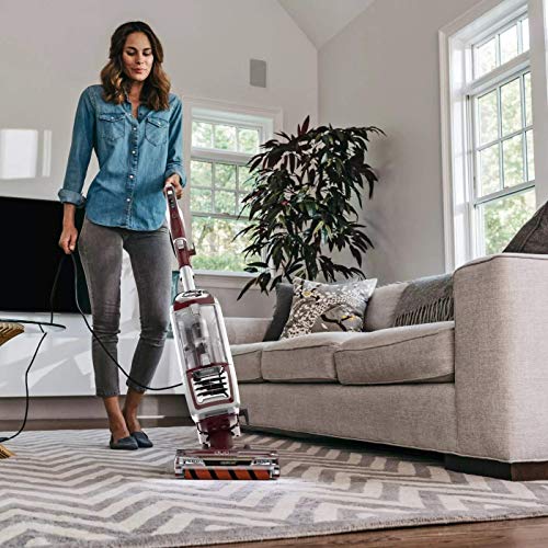 Shark ZU881 DuoClean with Self-Cleaning Brushroll Powered Lift-Away Upright Vacuum, Crevice and Pet-Multi Tools, 10.6 in L x 12.2 in W x 47.2 in H, Cinnamon