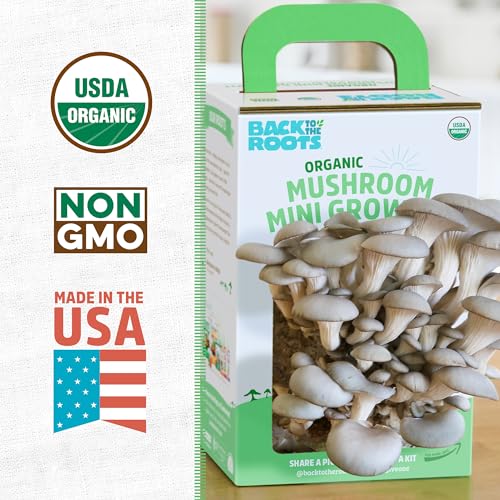 Back to the Roots Organic Mini Mushroom Grow Kit, Harvest Gourmet Oyster Mushrooms In 10 days, Top Gardening Gift, Holiday Gift, & Unique Gift