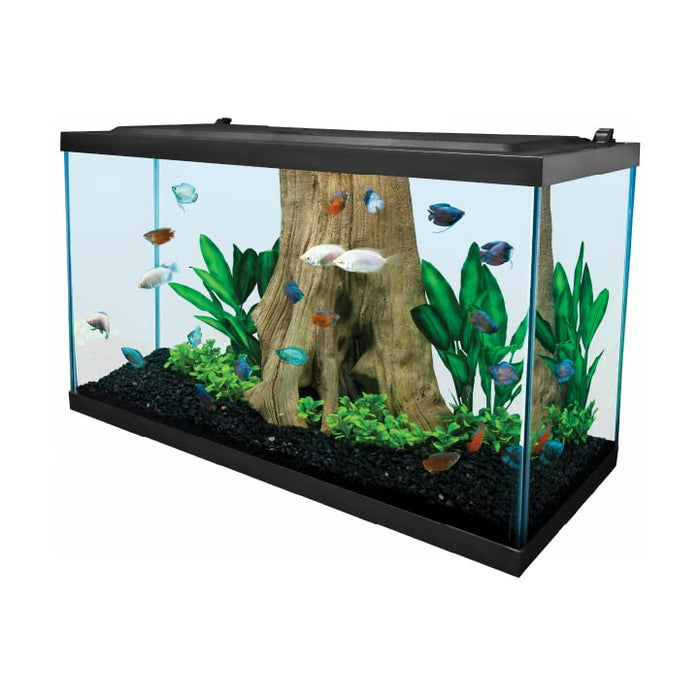 Tetra Complete LED Aquarium 29 Gallons, Includes LED Lighting, Filtration, Heater and Accessories