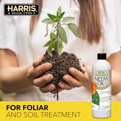 HARRIS Neem Oil, 100% Cold Pressed and Unrefined Concentrate for Plant Spray, High Azadirachtin Content, 12 Ounce for Aphids, Whiteflies, Mealy Bugs and More