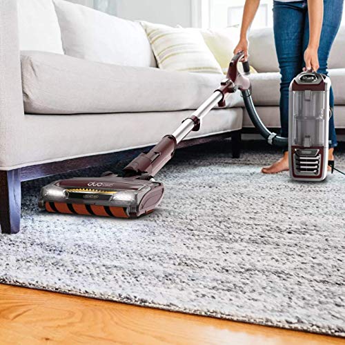 Shark ZU881 DuoClean with Self-Cleaning Brushroll Powered Lift-Away Upright Vacuum, Crevice and Pet-Multi Tools, 10.6 in L x 12.2 in W x 47.2 in H, Cinnamon