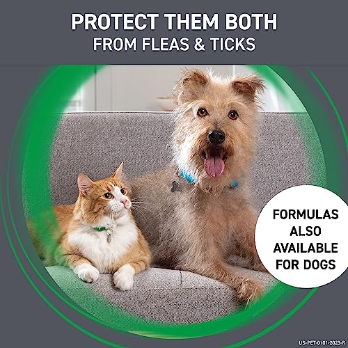 FRONTLINE Plus Flea and Tick Treatment for Cats Over 1.5 lbs., 3 Treatments