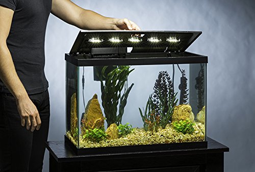 Tetra Aquarium, 20 Gallon, Complete Tropical Fish Tank Kit With LED Lighting And Decor For Freshwater Fish