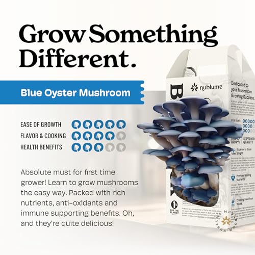 Organic Blue Oyster Mushroom Grow Kit | Grow Your Own Fresh Gourmet Mushrooms at Home | Edible Indoor Mushroom Growing Kits Great Gift for Kids & Adults