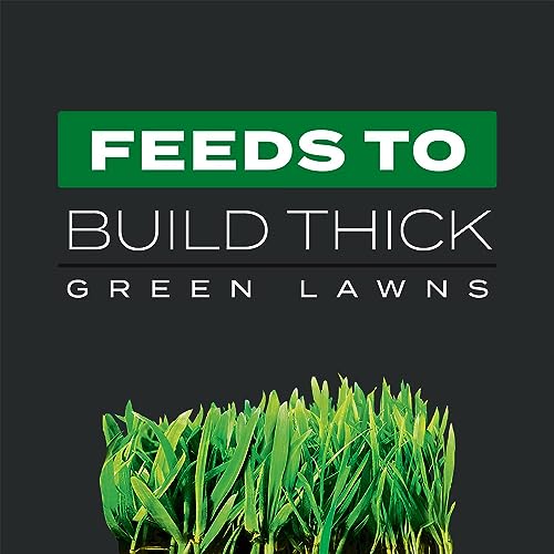 Scotts Turf Builder Southern 3 in 1 Triple Action Weed Destroyer, Lawn Fertilizer, and Feeder Granules for 4,000 Square Feet Landscapes (2 Pack)