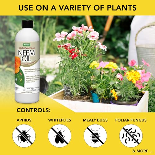 HARRIS Neem Oil, 100% Cold Pressed and Unrefined Concentrate for Plant Spray, High Azadirachtin Content, 12 Ounce for Aphids, Whiteflies, Mealy Bugs and More