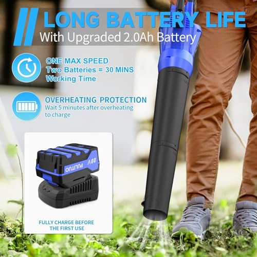 20V Cordless Leaf Blower with 2 Batteries and Charger, High Power 400 CFM Cordless Electric Leaf Blower with Two Nozzles Lightweight Handheld Blower for Lawn Care Patio Garden Leaves Yard (Blue)