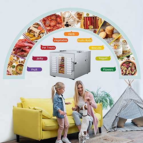 Commercial Large 10 Trays Food Dehydrator, Usable Area up to 17ft², 1000W Detachable Full Stainless Steel Dryer Machine, up to 190℉ Temperature, for Meat, Fruit, Beef, Herbs, and Pet Food