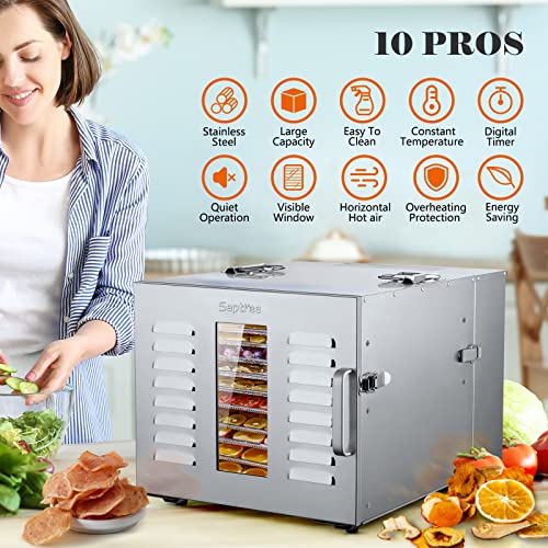 Commercial Large 10 Trays Food Dehydrator, Usable Area up to 17ft², 1000W Detachable Full Stainless Steel Dryer Machine, up to 190℉ Temperature, for Meat, Fruit, Beef, Herbs, and Pet Food