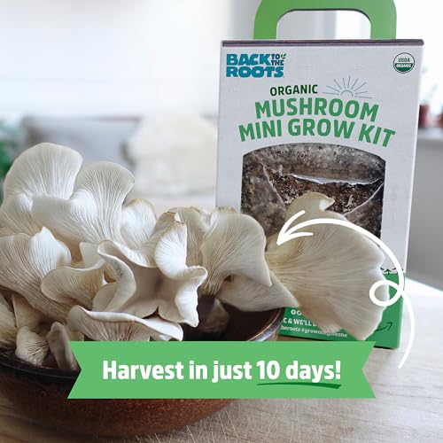 Back to the Roots Organic Mini Mushroom Grow Kit, Harvest Gourmet Oyster Mushrooms In 10 days, Top Gardening Gift, Holiday Gift, & Unique Gift