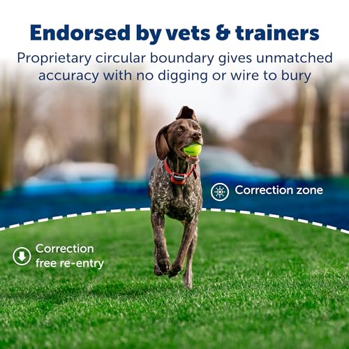 PetSafe Stay & Play Wireless Pet Fence for Stubborn Dogs - No Wire Circular Boundary, Secure 3/4-Acre Yard, For Dogs 5lbs+, America's Safest Wireless Fence From Parent Company INVISIBLE FENCE Brand