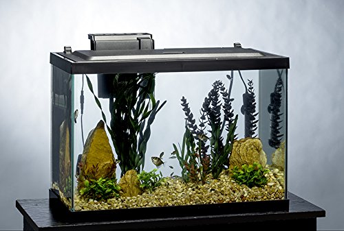 Tetra Aquarium, 20 Gallon, Complete Tropical Fish Tank Kit With LED Lighting And Decor For Freshwater Fish