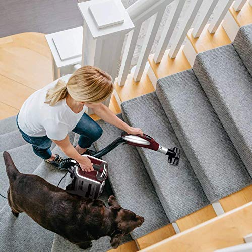 Shark ZU881 DuoClean with Self-Cleaning Brushroll Powered Lift-Away Upright Vacuum, Crevice and Pet-Multi Tools, 10.6 in L x 12.2 in W x 47.2 in H, Cinnamon