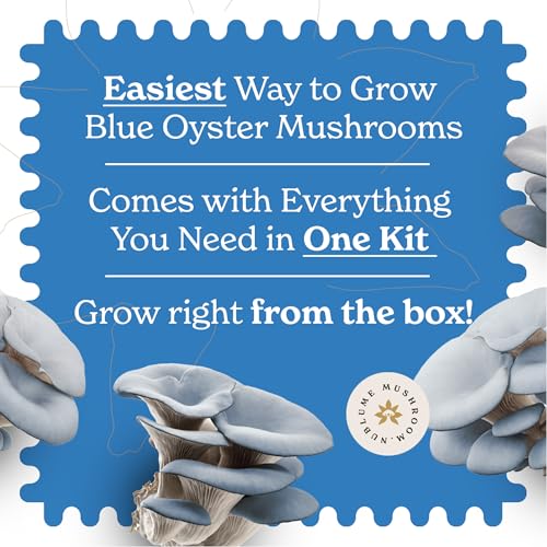 Organic Blue Oyster Mushroom Grow Kit | Grow Your Own Fresh Gourmet Mushrooms at Home | Edible Indoor Mushroom Growing Kits Great Gift for Kids & Adults