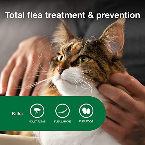 Advantage II Large Cat Vet-Recommended Flea Treatment & Prevention | Cats Over 9 lbs. | 4-Month Supply