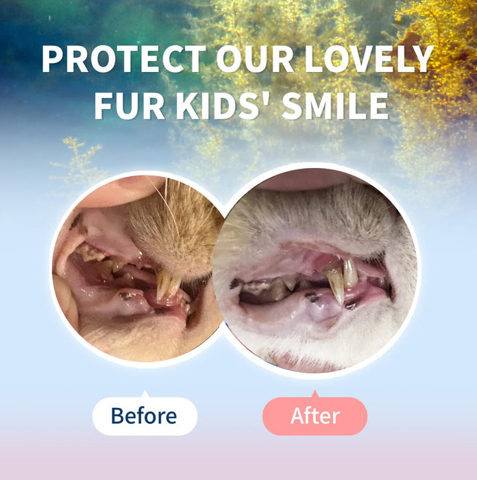 Love Can Fly Cat Teeth Cleaning Powder - Simple Feeding,Tartar Plaque Removal Aid/Eliminate Oral Odor/Pet Dental Care, with Super Fucoidan, Norwegian Kelp, 1.4 Oz