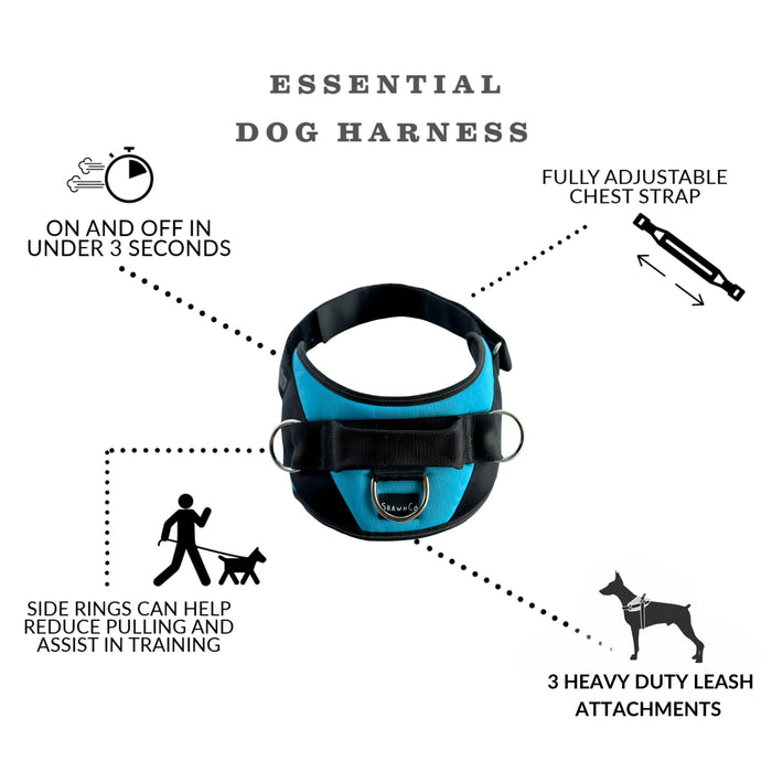 ShawnCo Essential Dog Harness, No-Pull Pet Vest with 3 Leash Clips, No Choke, Reflective, Adjustable and Padded, for Easy Walking and Training for Small, Medium and Large Dogs (Oceanic Blue, S)