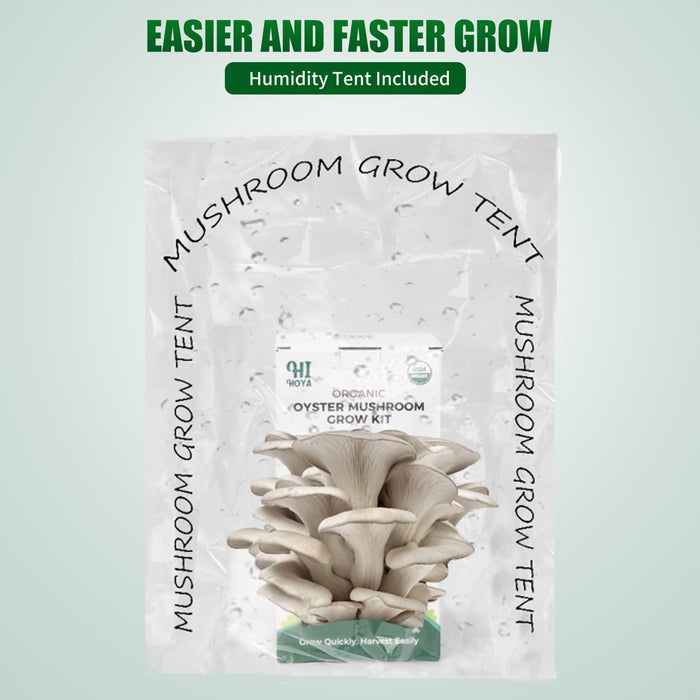 Large Organic Mushroom Growing Kit USDA Certified, Non-GMO Fresh Gourmet Oyster Mushroom,Made in USA,Harvest in 10 Days, Top 10 Gardening Gift for Kids & Adults