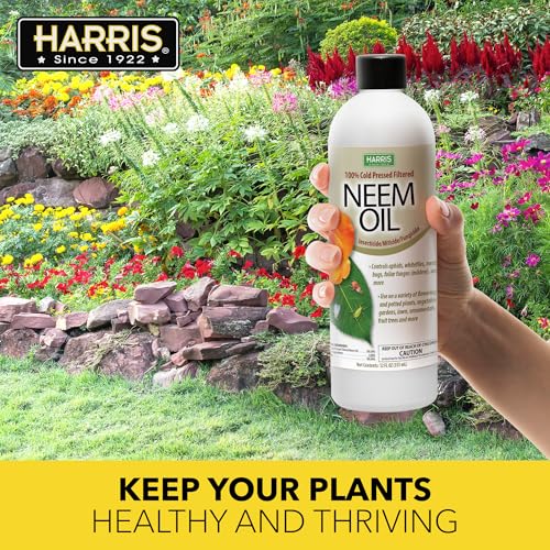 HARRIS Neem Oil, 100% Cold Pressed and Unrefined Concentrate for Plant Spray, High Azadirachtin Content, 12 Ounce for Aphids, Whiteflies, Mealy Bugs and More