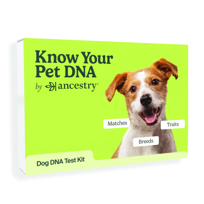 AncestryDNA Know Your Pet DNA: Dog DNA Breed Identification Test, Genetic Traits, DNA Matches, Dog DNA Test