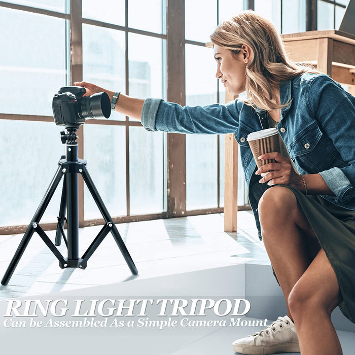 Ring Light with Stand and Phone Holder, 10.2" Selfie Ring Light with 65" Adjustable Tripod Stand, Dimmable LED Ring Light Kit for Tiktok/YouTube/Makeup/Photography, Selfie Stick and Ring Light 2 in 1