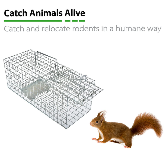 Anyhall Live Animal Cage Trap for Squirrels, Weasels and Similar-size Rodents