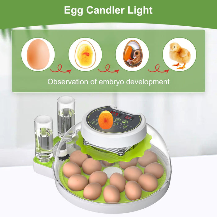 18 Egg Incubator for Hatching Eggs With Automatic Turner and Humidity Control, Quail Egg Hatching Incubator 360°View, Suitable for Chicken Duck and Other Poultry