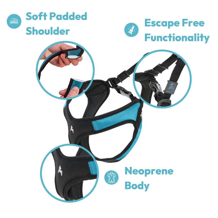 Gooby - Escape Free Easy Fit Harness, Small Dog Step-In Harness for Dogs that Like to Escape Their Harness, Turquoise, Small