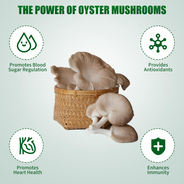 Large Organic Mushroom Growing Kit USDA Certified, Non-GMO Fresh Gourmet Oyster Mushroom,Made in USA,Harvest in 10 Days, Top 10 Gardening Gift for Kids & Adults