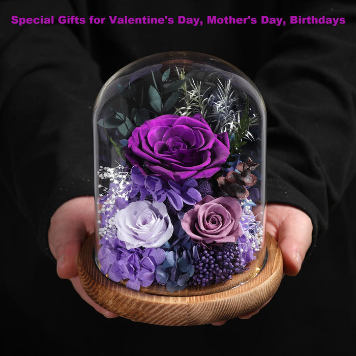 lovenfold Flowers for Delivery Prime Preserved Rose Gifts for Women,Long-Lasting Real Flowers in Glass Dome,Valentine Day Mothers Day Birthday Gifts for Women Mom Friend(Purple Rose)