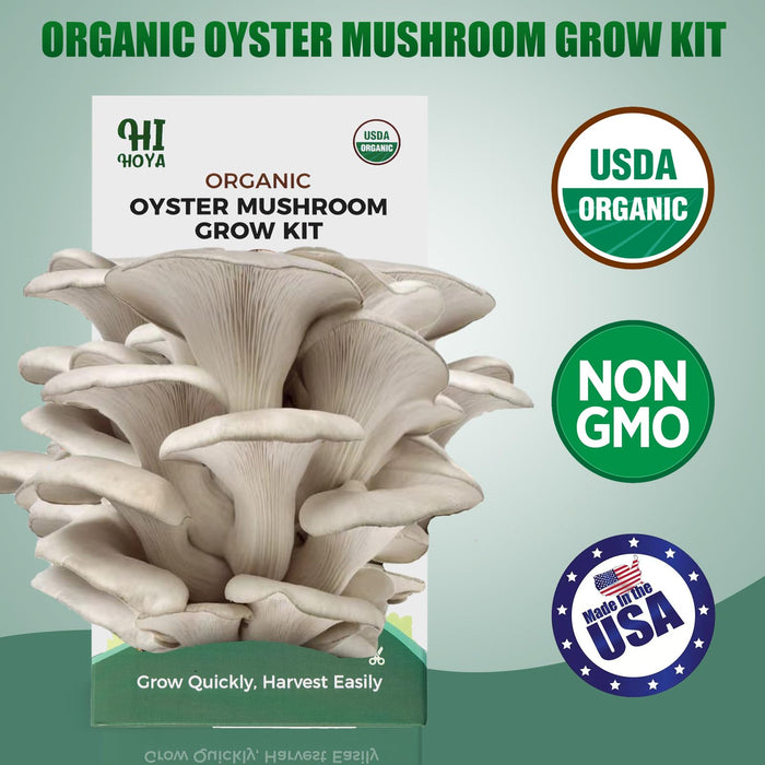 Large Organic Mushroom Growing Kit USDA Certified, Non-GMO Fresh Gourmet Oyster Mushroom,Made in USA,Harvest in 10 Days, Top 10 Gardening Gift for Kids & Adults