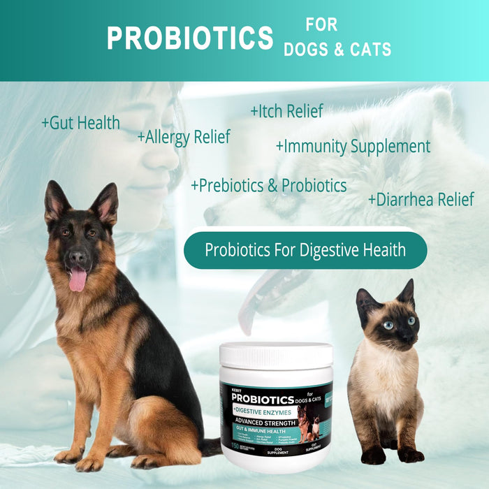 kebit pet probiotic chewable Tablets, Dog probiotics for Diarrhoea Relief, Scratching, Allergies and Gut Health Support, Immune Support Supplements （Chicken Flavour 150pcs）