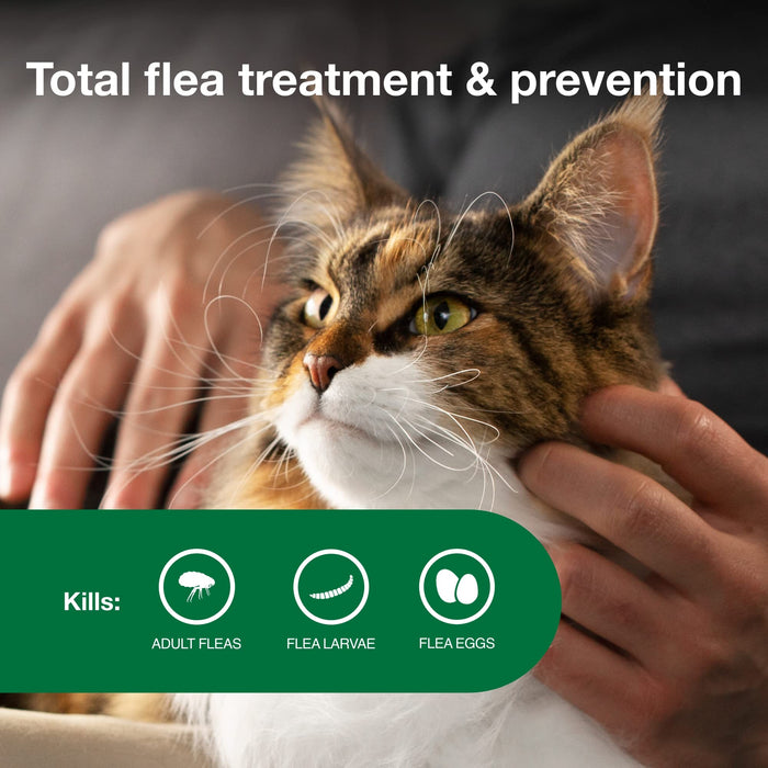 Advantage II Large Cat Vet-Recommended Flea Treatment & Prevention | Cats Over 9 lbs. | 12-Month Supply