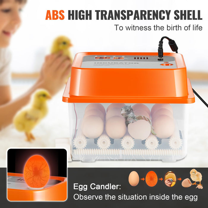 VEVOR NLF64-5280 Incubators for Hatching, Automatic Turner with with Temperature and Humidity Control, 12 Eggs Poultry Hatcher with ABS Transparent Shell for Chicken, Duck, Quail, Blue