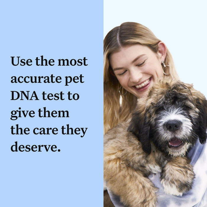 Wisdom Panel Breed Discovery Dog DNA Kit: Most Accurate Dog Breed Identification, Test for 365+ Breeds, MDR1 Health Test, Ancestry, Relatives