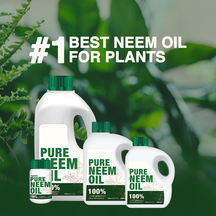 Pure Zuprime Neem Oil for Plants - Organic Neem Oil Spray for Plants,100% Cold Pressed Neem Oil, All-Natural Neem Oil Concentrate Leaf Polish for Plants, Pure Neem Oil - (17 Oz)