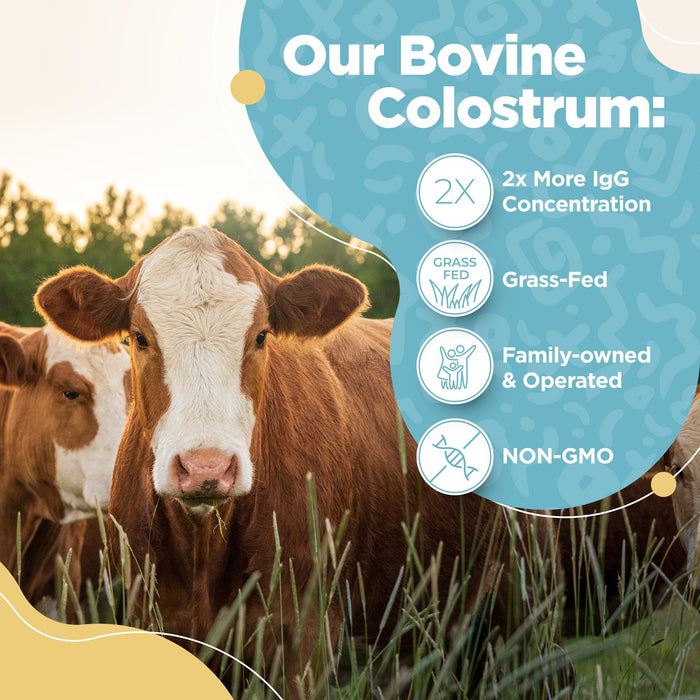 Bovine Colostrum Powder - Pure Bovine Colostrum for Humans - Grass Fed Colostrum Supplement for Gut Support, Immune Health and Hair Growth - Made in USA 3.17 OZ