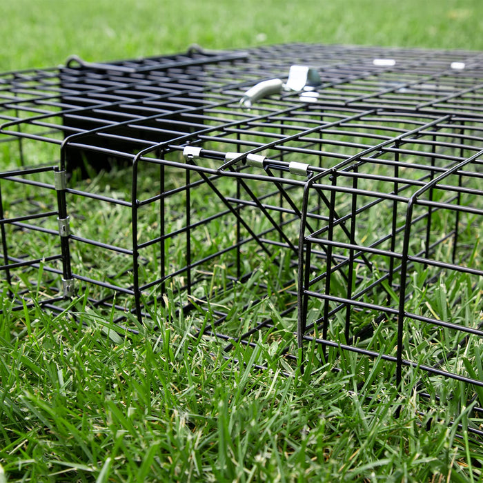 Rugged Ranch Squirrelinator 2 Door Small Metal Wire Multi-Catch Live Animal Squirrel Catch & Release Cage Trap for Pest Control, Black