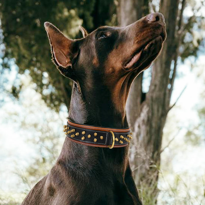 Leatherific Spike Dog Collar | Spiky Series | Premium Genuine Bridle Leather, Heavy Duty, Padded, Strong | for Medium, Large, XL Breeds | Black Brown | 2" Wide