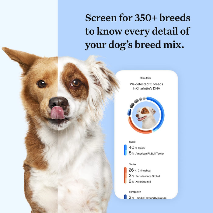 Wisdom Panel Breed Discovery Dog DNA Kit: Most Accurate Dog Breed Identification, Test for 365+ Breeds, MDR1 Health Test, Ancestry, Relatives