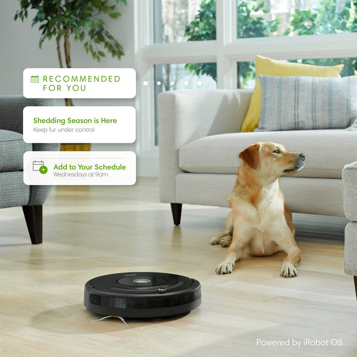 iRobot Roomba 671020 Robot Vacuum with Wi-Fi Connectivity, Works with Alexa, Good for Pet Hair, Carpets, and Hard Floors