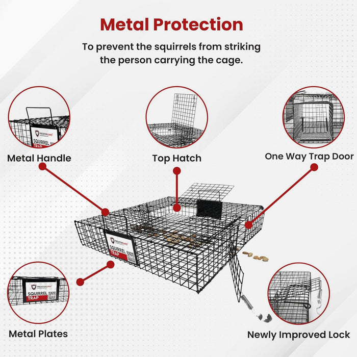 Predator Guard Squirrel Guard Trap - Humane Multi-Catch Trap, Attracts & Catches Multiple Squirrels in 1 Trap - Perfect for Indoor and Outdoor Use - Effective Squirrel Control to Protect your Property