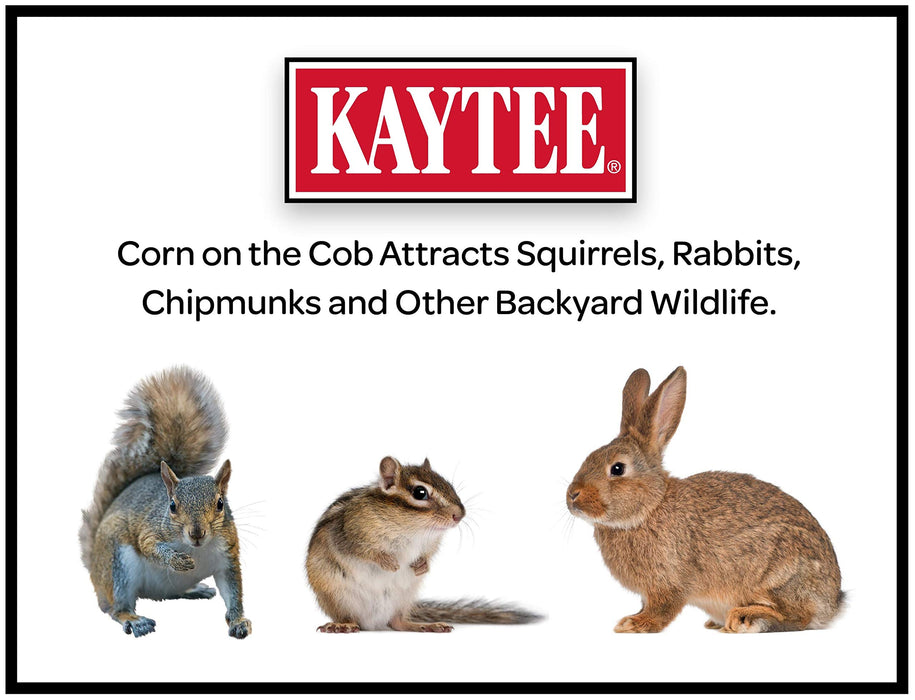 Kaytee Corn On The Cob Food For Wild Squirrels, Rabbits, Chipmunks and Other Backyard Wildlife, 6.5 Pound