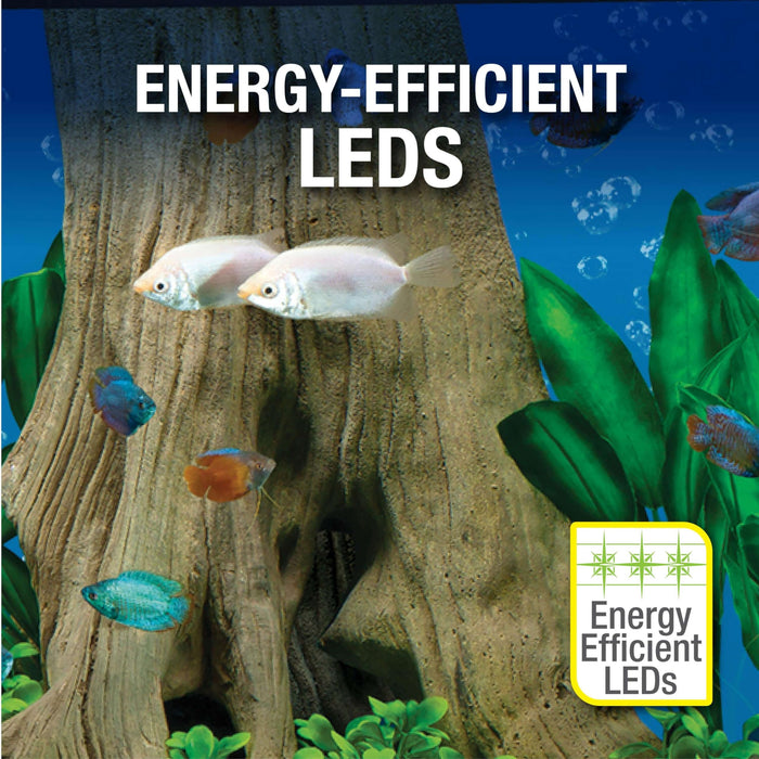 Tetra Complete LED Aquarium 29 Gallons, Includes LED Lighting, Filtration, Heater and Accessories