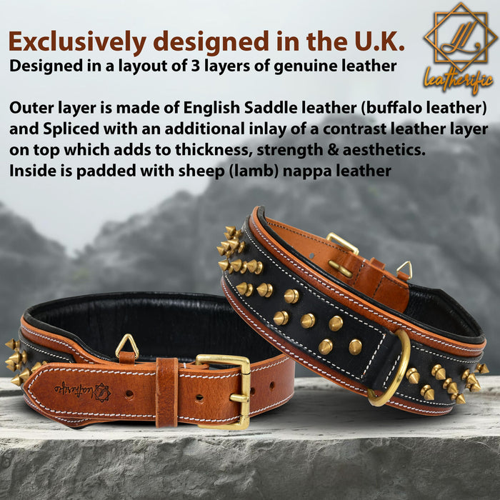 Leatherific Spike Dog Collar | Spiky Series | Premium Genuine Bridle Leather, Heavy Duty, Padded, Strong | for Medium, Large, XL Breeds | Black Brown | 2" Wide