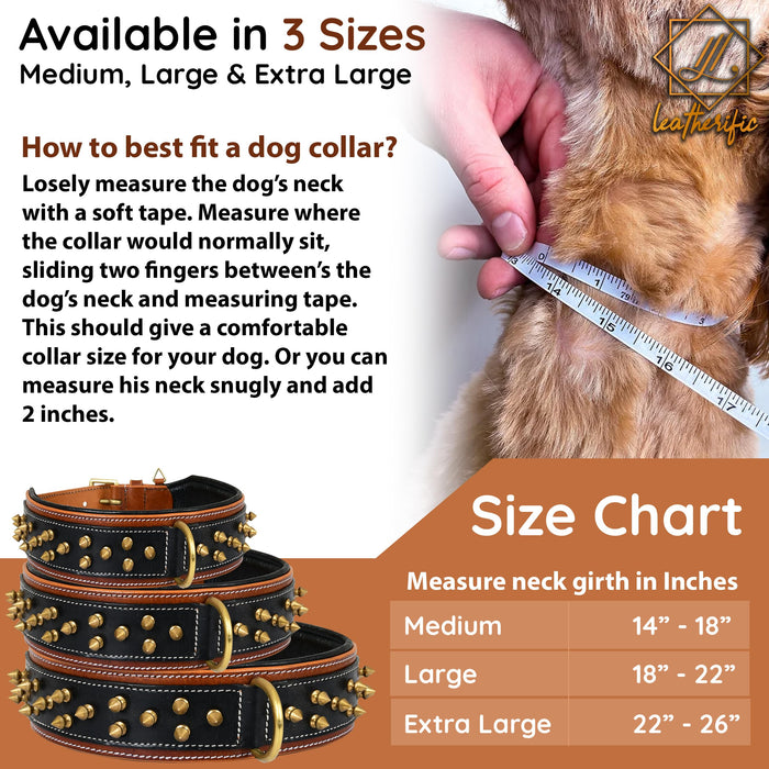 Leatherific Spike Dog Collar | Spiky Series | Premium Genuine Bridle Leather, Heavy Duty, Padded, Strong | for Medium, Large, XL Breeds | Black Brown | 2" Wide